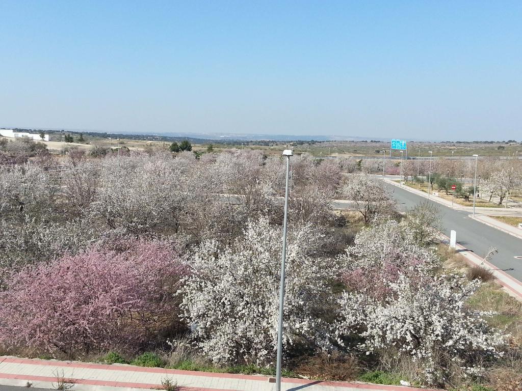 Burguillos de Toledo Chalet Villa Maria A 10 Minutos De Puy Du Fou מראה חיצוני תמונה